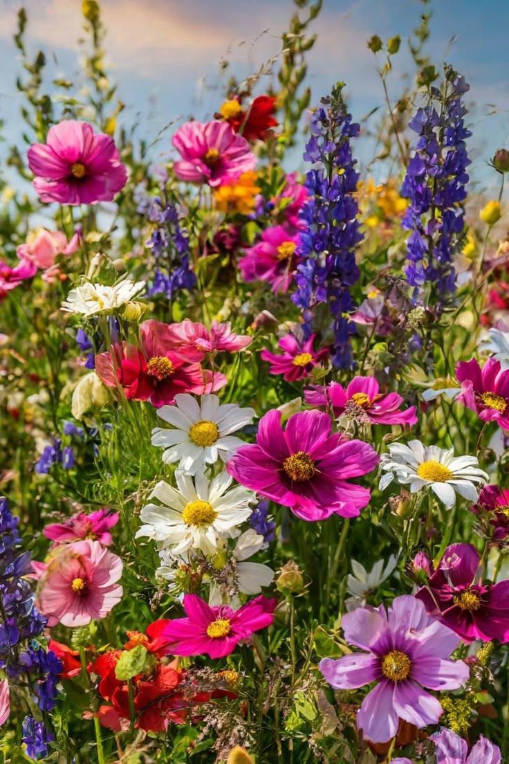 Enchanted Garden Romance Bloom Array
